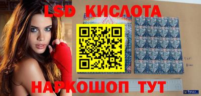 spice Кимры
