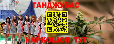 spice Кимры