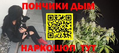 spice Кимры