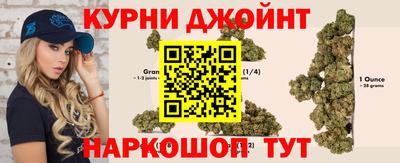 гидра Кинель