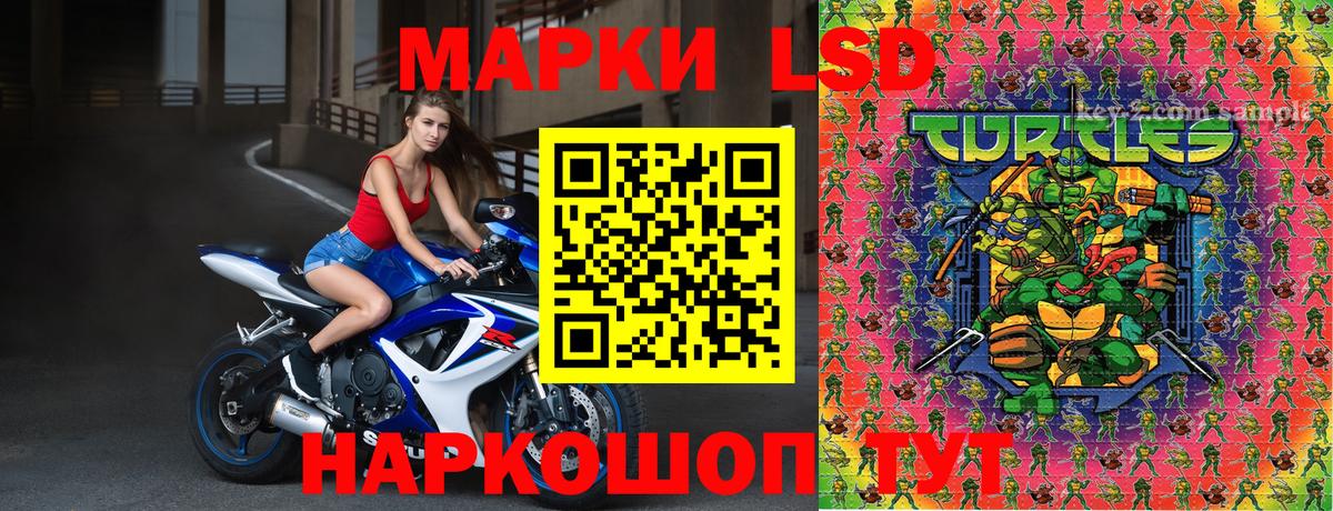 Наркотические марки 1,8мг  Вход с VPN  где купить наркоту  Керчь 