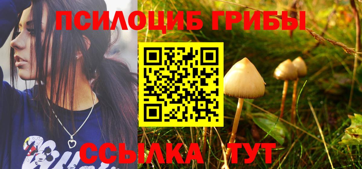 Галлюциногенные грибы ЛСД  Галлюциногенные грибы GOLDEN TEACHER  даркнет сайт  Керчь  Вход с VPN 